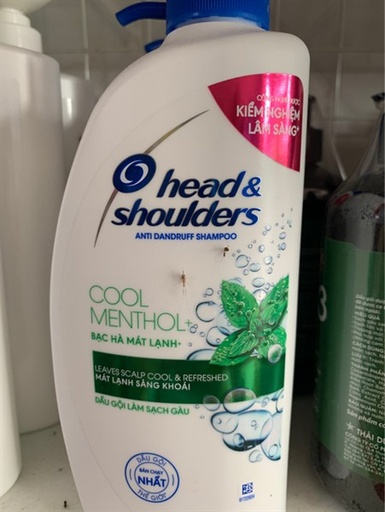 [4902430379793] dầu gội Head nhân sâm